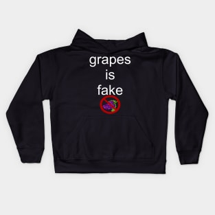 grapes is fake Kids Hoodie